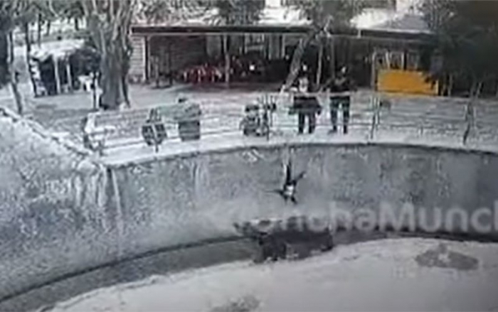 Ana qızını zooparkda ayının qəfəsinə atdı -    VİDEO    