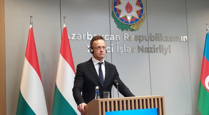   Hungarian companies are ready to participate in reconstruction of Karabakh  