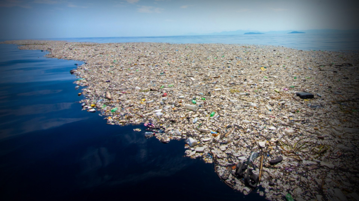 World must work together to tackle plastic ocean threat - WWF