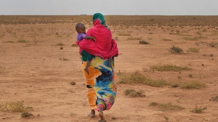 13M people facing severe drought in Horn of Africa as hunger bites: WFP