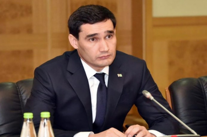    Berdıməhəmmədovun oğlu seçkilərdə namizəd olacaq  
   