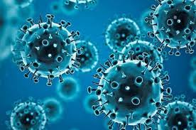   Covid  : "Una endemia no es necesariamente buena y tampoco implica que el fin del coronavirus llegará pronto"