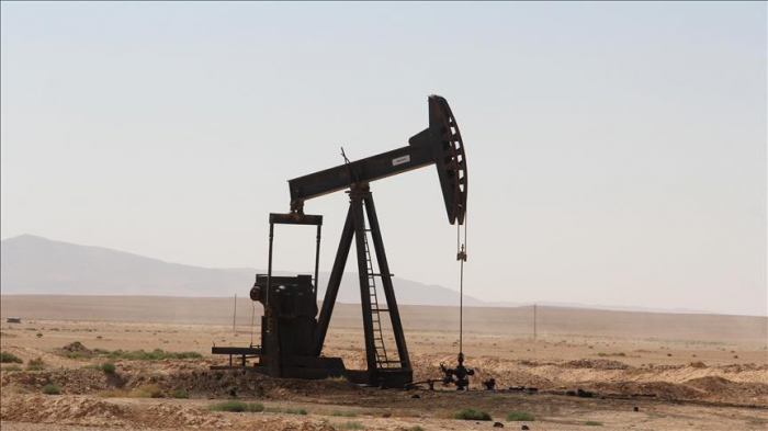 Oil prices fall on world markets 