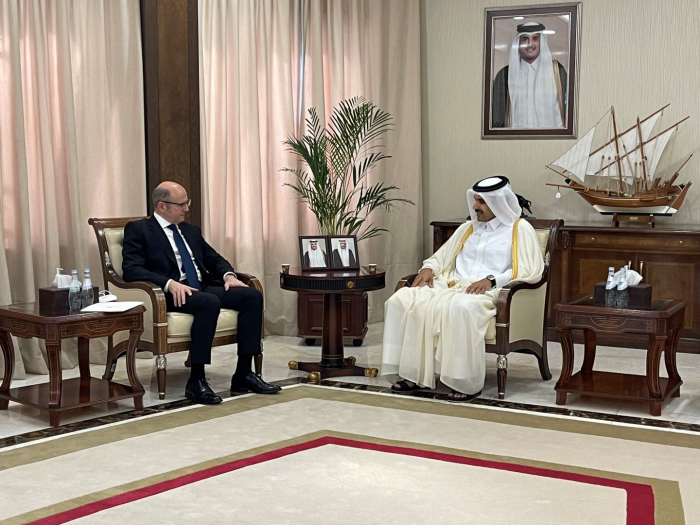 Azerbaijan, Qatar discuss co-op in energy field