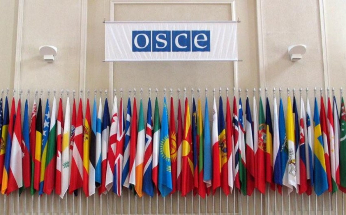   OSCE Permanent Council to hold extraordinary session over Ukrainian crisis  