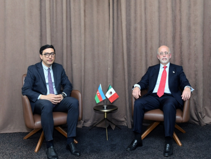 Azerbaijan, Mexico discuss cooperation in field of youth and sports