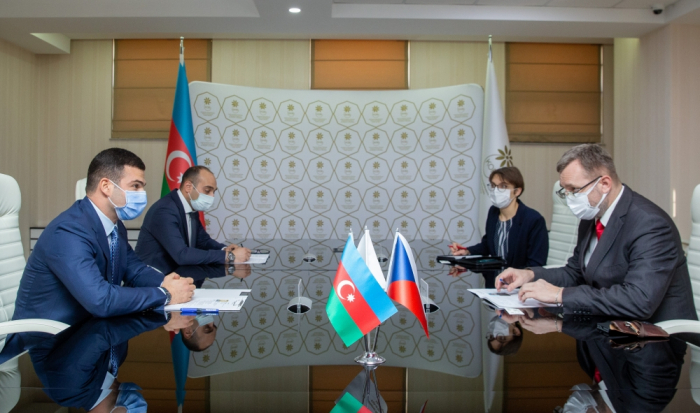 Azerbaijan, Czech Republic mull cooperation between small and medium-sized enterprises