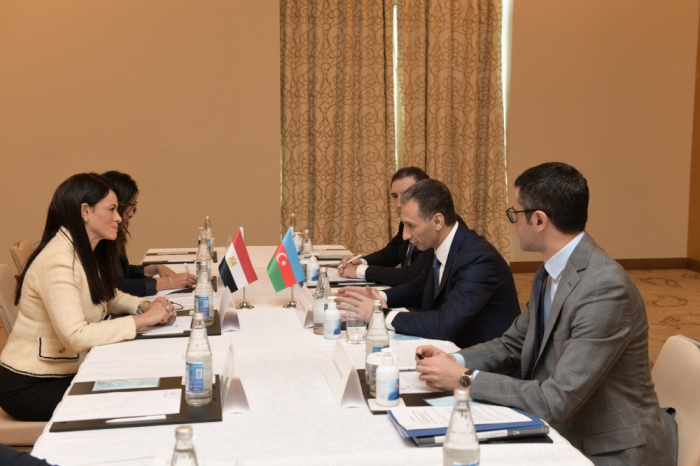   Azerbaijan and Egypt discuss opportunities for cooperation in number of areas  