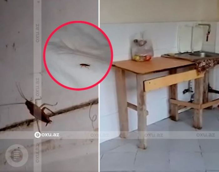    Bakıdakı dispanserdə antisanitariya:    Mətbəxdə həşəratlar “hökmranlıq edir”    
   