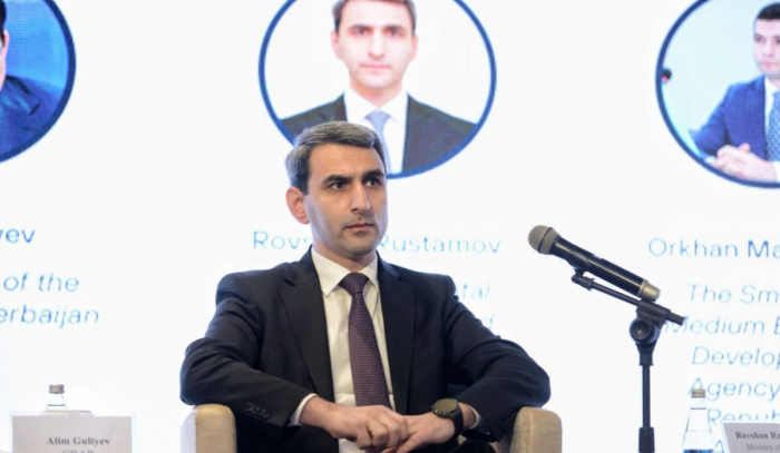    "Bu il sosial şəbəkələrdə 126 saxta səhifə aşkarlamışıq"   