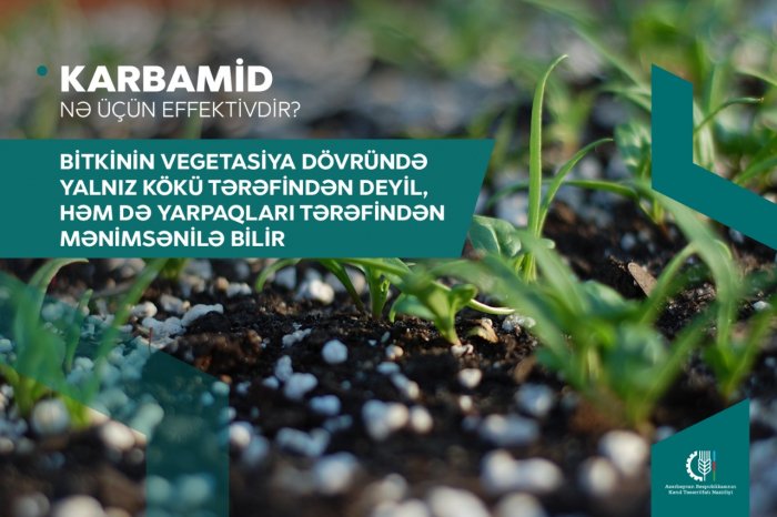 Karmabid məhsuldarlığı artırır -  Fermerlərə tövsiyə 