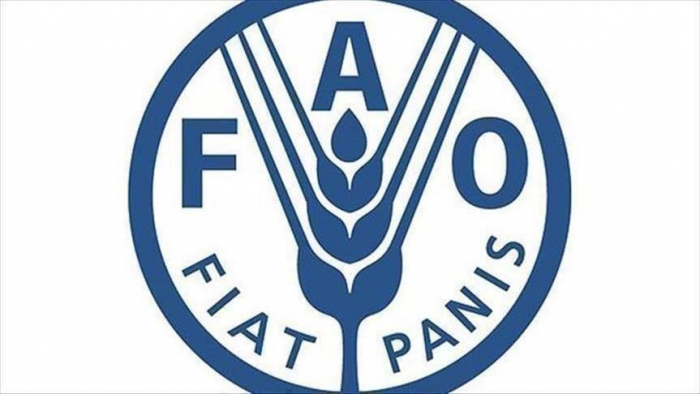 La 36e session de la Conférence régionale de la FAO se tient à Bagdad