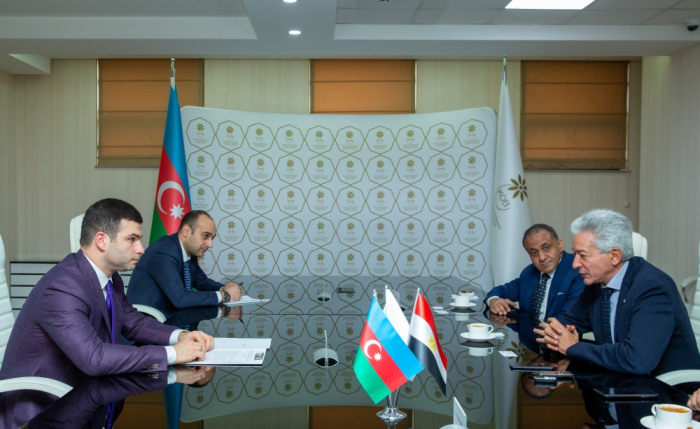 Azerbaiyán está dispuesto a compartir su experiencia con Egipto en el apoyo a las pequeñas y medianas empresas