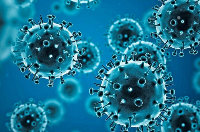 Coronavirus en Grande-Bretagne : les autorités approuvent le vaccin Novavax, le cinquième dans le pays