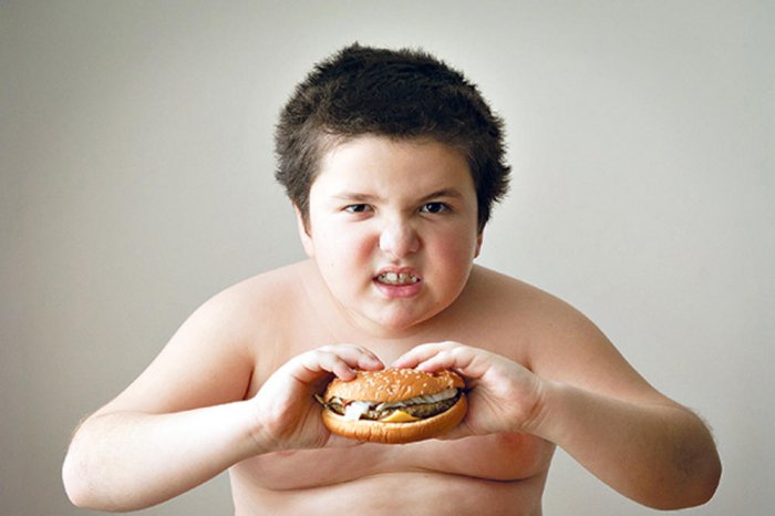    “Uşaqlara “fast-food”ların verilməsi faciədir”-     Həkim     
   
