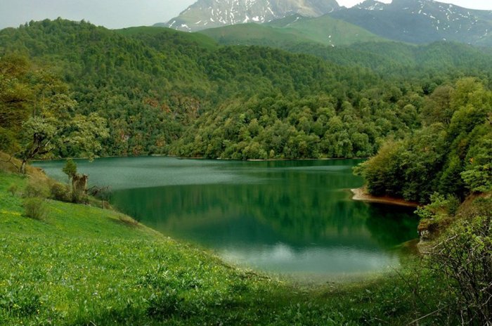    Azərbaycanda    yeni milli parklar və ya qoruqlar    yaradıla bilər   