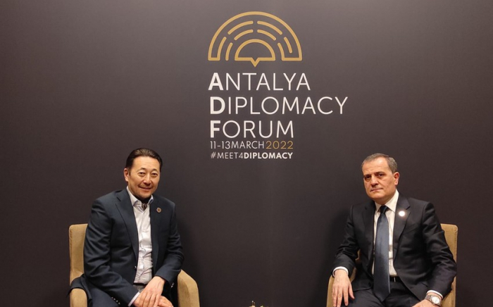 Azerbaijani FM meets with CICA executive director in Antalya 