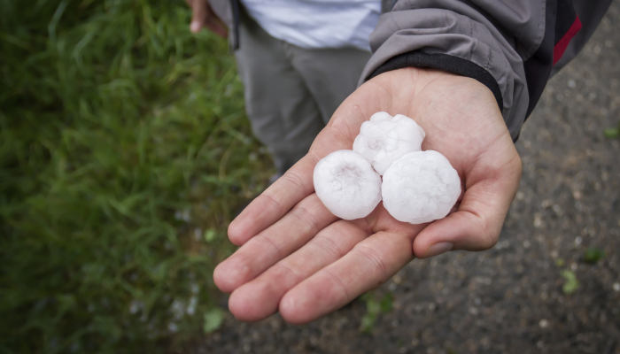   How climate change is leading to bigger hailstones -   iWONDER    