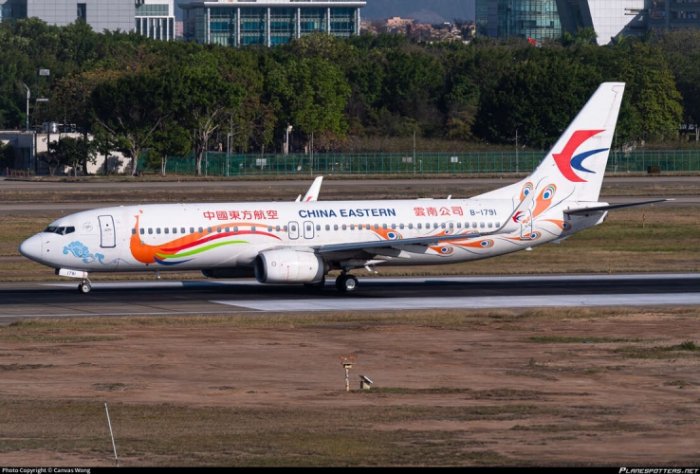    “China Eastern”    “Boeing 737-800”lərin uçuşunu dayandırdı      