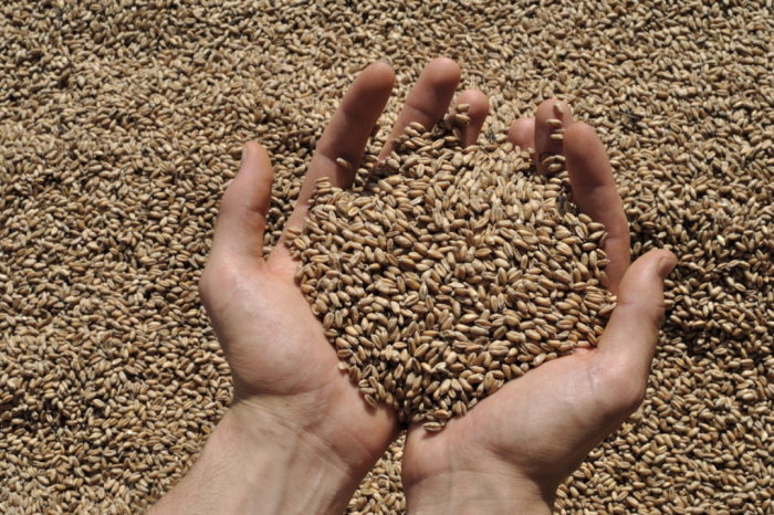 Azerbaijan increases wheat imports