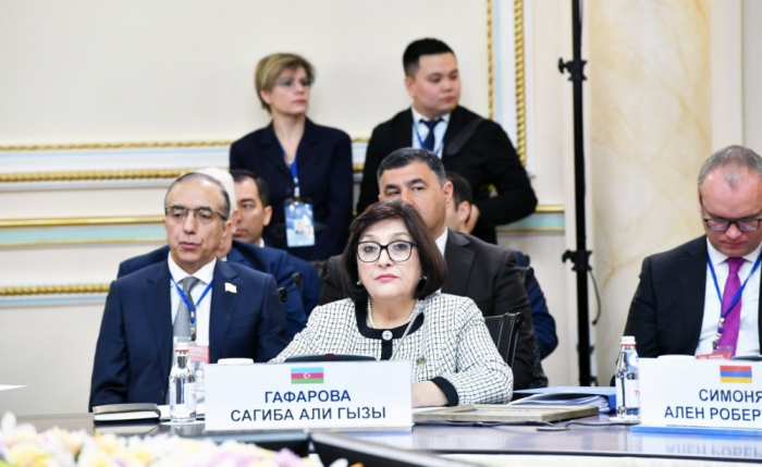    Sahibə Qafarova Ermənistan parlamentinin spikerini susdurdu   