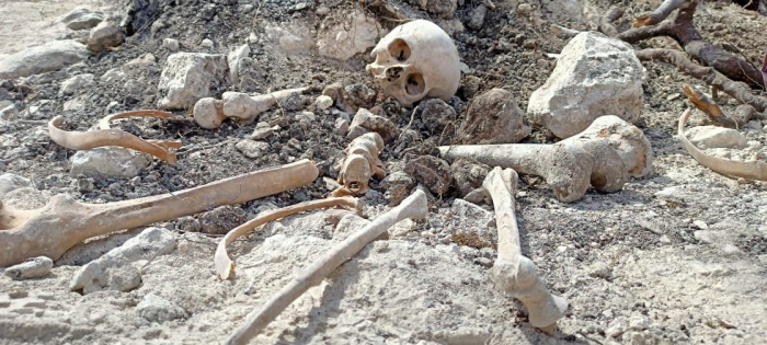   Azerbaijani ombudsperson makes statement on discovery of human remains in Farrukh village  