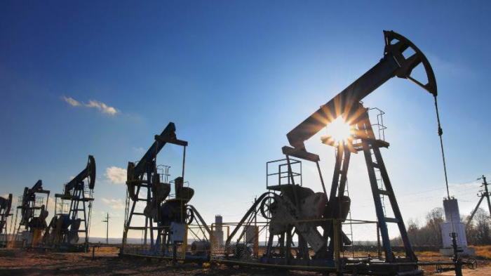 Oil prices plunge US considers record reserves release 