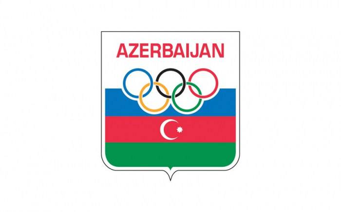    Milli Olimpiya Komitəsinin 30 illiyi qeyd ediləcək     
