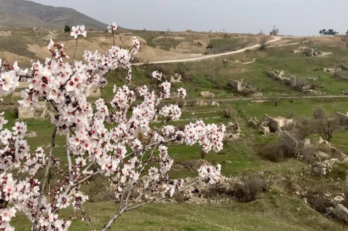 Britaniya səfiri Cəbrayıla səfər edib