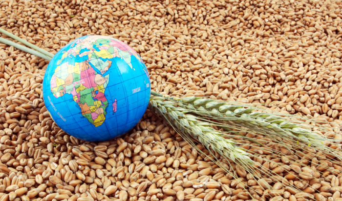 International financial institutions call for urgent action on food security