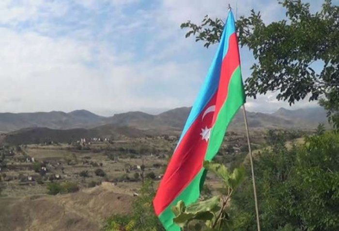 Qarabağdakı zəhərli ilanlarla bağlı hökumətə sənəd təqdim edilib  
