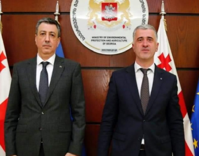 Azerbaijan, Georgia discuss prospects for cooperation in agricultural sector 