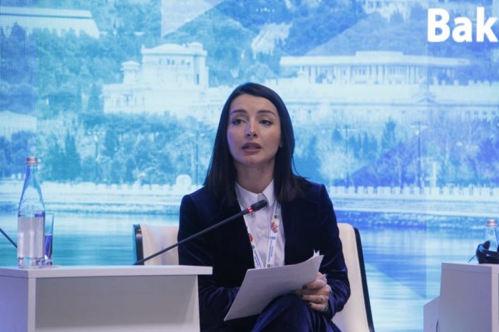    "Təmizlənmiş ərazilər minalı sahələrin 2 faizidir" -    Leyla Abdullayeva      