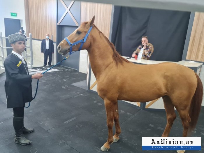    "Sahil" 5500 manata satıldı -    FOTO       