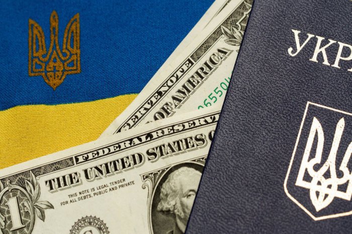    Kiyev G7 və BVF-dən 50 milyard dollar maliyyə yardımı istədi     
