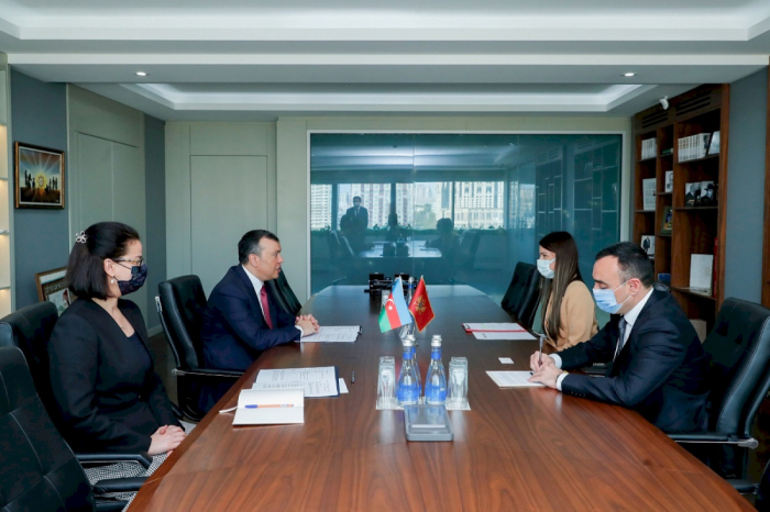     Minister:   Der Handelsumsatz zwischen Aserbaidschan und Montenegro steigt um das 3,75-fache  