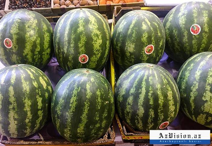    Azərbaycanda ilk dəfə qarpız sahələri sığortalanacaq   