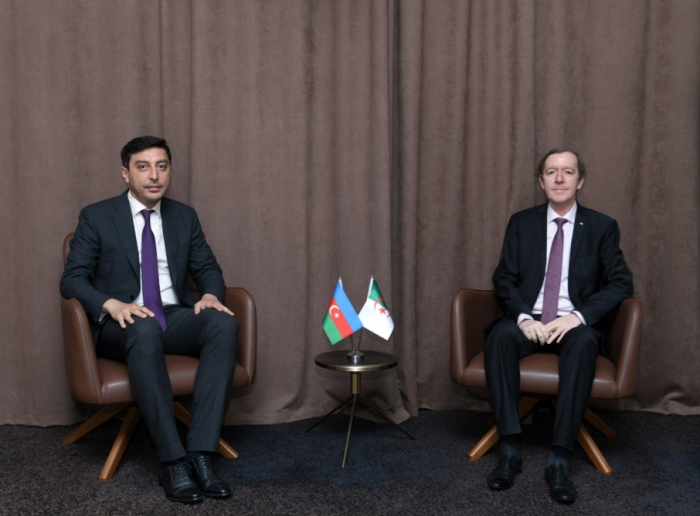 Azerbaiyán, Argelia y Qatar discuten las oportunidades de cooperación futura