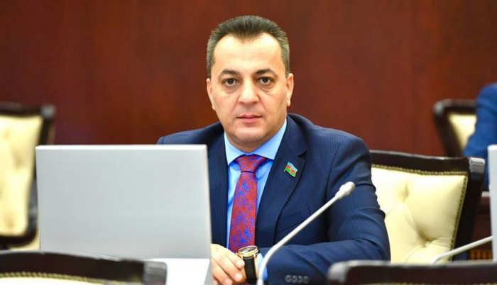       Deputat:    "Ermənistan yenə vaxt qazanmaq, öhdəliklərdən yayınmaq istəyir”   