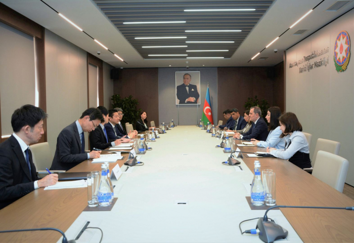   Azerbaijan, Japan discuss prospects for energy co-op, inter-parliamentary ties   