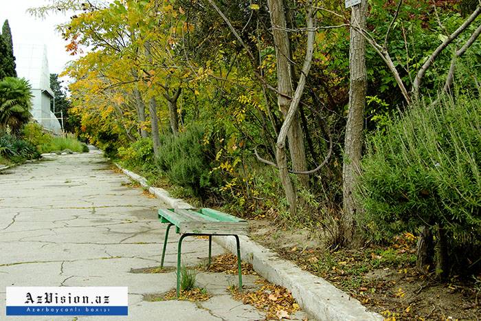    Nəbatət Bağında qanunsuz tikililər sökülür    