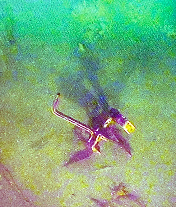  Mines detected in the Caspian Sea neutralized 