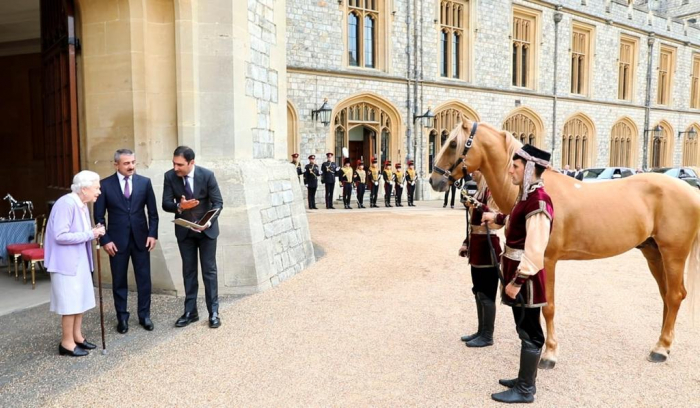   Karabakh horse gifted by President Ilham Aliyev to Queen Elizabeth II presented at Windsor Castle –   VIDEO    