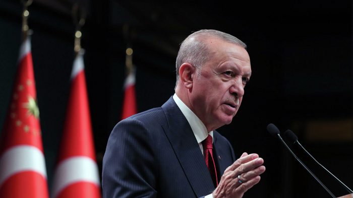   Erdogan says Turkey will not support Sweden and Finland NATO bids  