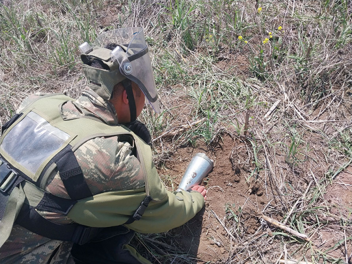   Azerbaijan demines more than 17,000 hectares of area in liberated territories -   VIDEO    