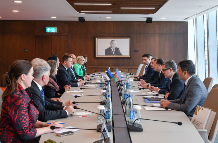 Estonian companies interested in participating in projects in liberated Azerbaijani lands 