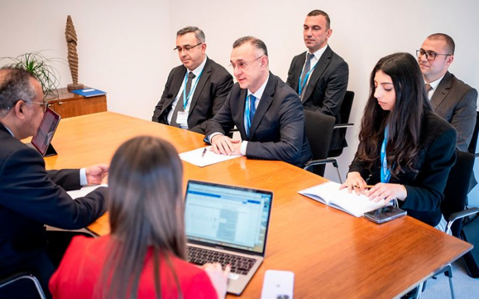 Azerbaijani Health Minister meets with WHO General Director 
 