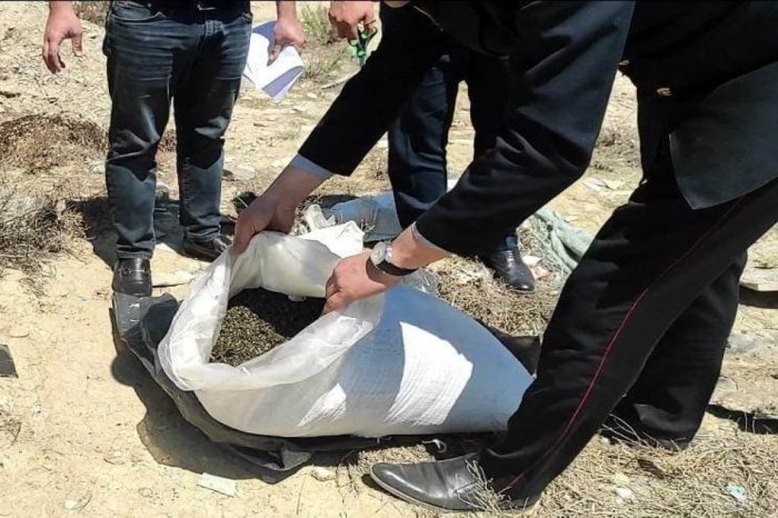 19 kq narkotik aşkar edilib