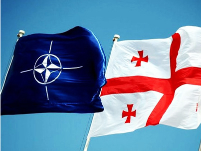 Gürcüstan NATO-nun sammitinə dəvət olunacaq  
  
