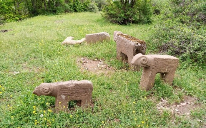    Azərbaycanda ilk dəfə daş buğa fiqurları aşkarlanıb -    FOTO     
   